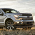 A silver truck is parked in the grass.